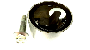 View Engine Timing Belt Tensioner Pulley. Idler Complete Belt. Full-Sized Product Image 1 of 2